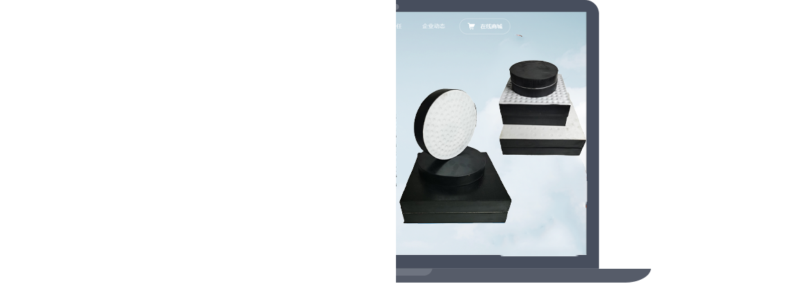 橡膠止水帶,橋梁伸縮縫,雙組份聚硫密封膠,雙組份聚硫密封膏,遇水膨脹止水條,聲測管,橋梁樁基聲測管,橡膠支座,橋梁支座,預應力波紋管,橋梁頂升,橋檢車出租租賃